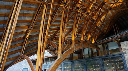 竹筑未來 多維度協同促進竹建材產業化發展的路徑探索